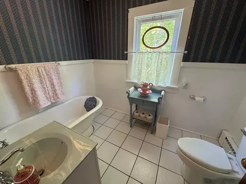 Bath - 314 Plummer Ave, Chadwick, IL 61014 photo 3 of 5