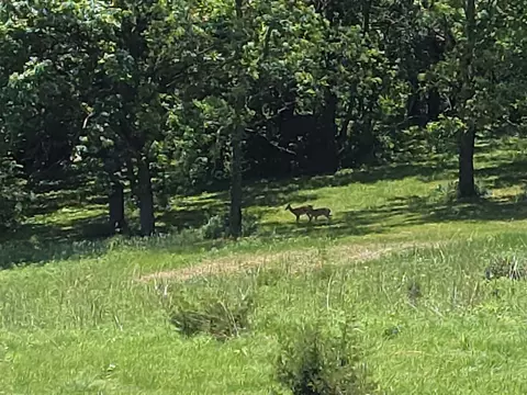 Other - 431 E Stadel Rd, Elizabeth, IL 61028 photo 2 of 11