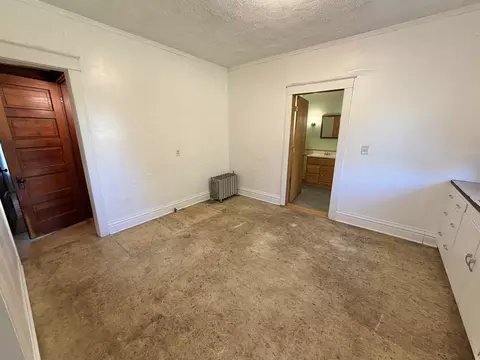 711 N Turner St, Davis, IL 61019 photo 18