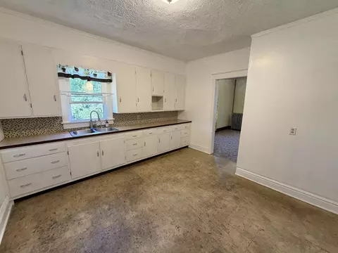711 N Turner St, Davis, IL 61019 photo 17