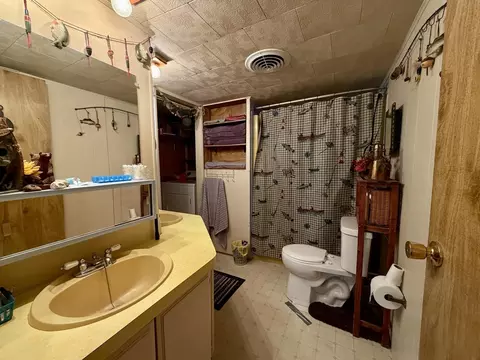 Bath - 5172 Locust Ln, Thomson, IL 61285 photo 1 of 2