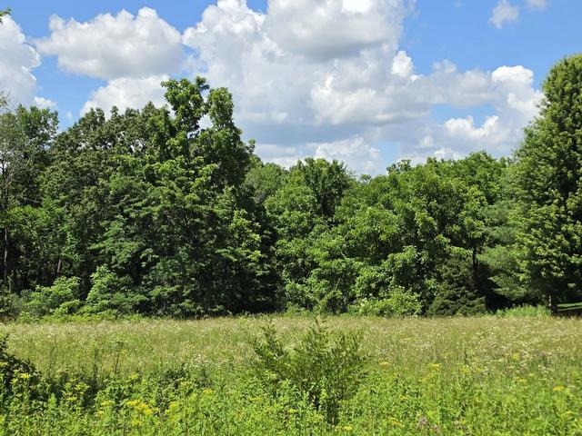 21 Cameron Rd, Galena, IL 61036