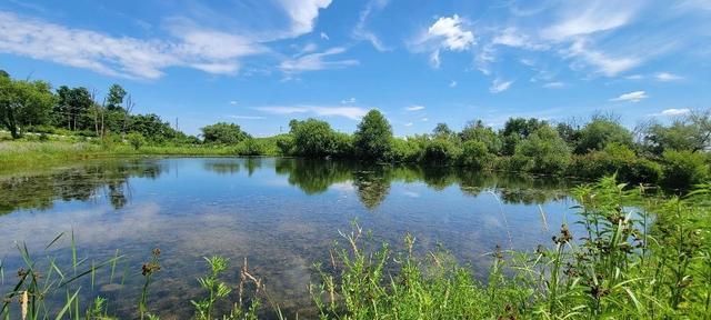 tbd E Montague Rd, Baileyville, IL 61007