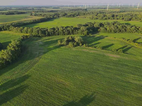 000 Todd Rd, Ohio, IL 61349 photo 14