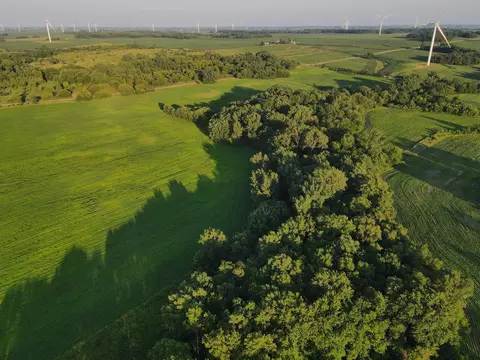000 Todd Rd, Ohio, IL 61349 photo 21