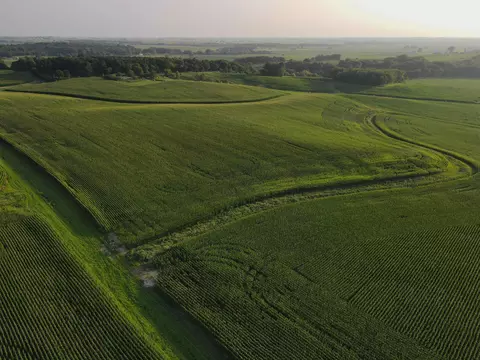 000 Capp Rd, Morrison, IL 61270 photo 30