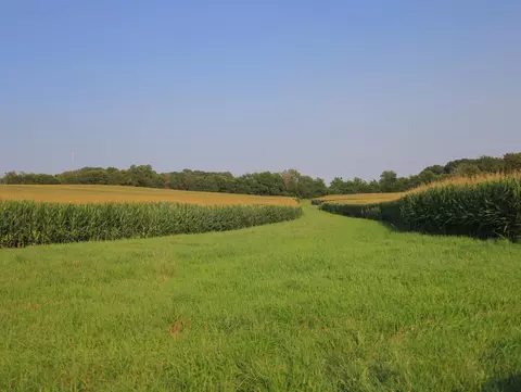 000 Capp Rd, Morrison, IL 61270 photo 59