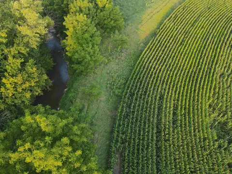 000 Capp Rd, Morrison, IL 61270 photo 37