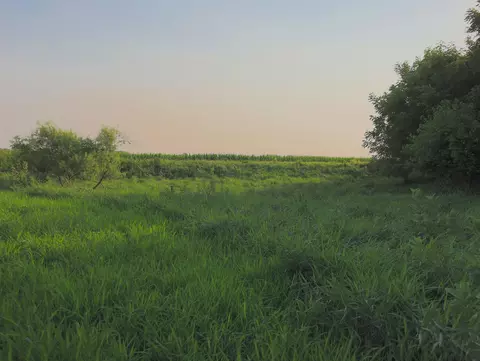 000 Capp Rd, Morrison, IL 61270 photo 64
