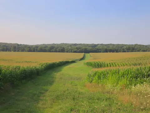 000 Capp Rd, Morrison, IL 61270 photo 50