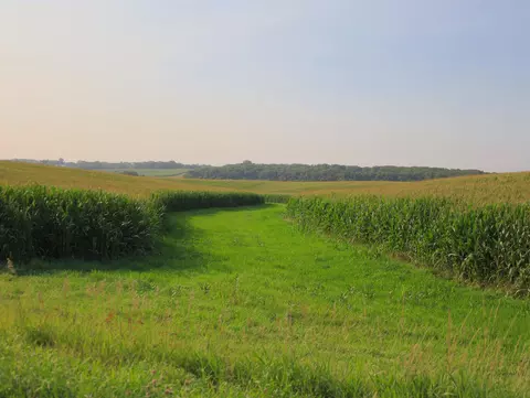 000 Capp Rd, Morrison, IL 61270 photo 49