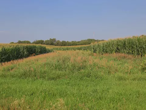 000 Capp Rd, Morrison, IL 61270 photo 53