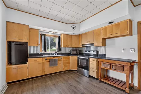 411 Main St, Leaf River, IL 61047 photo 10
