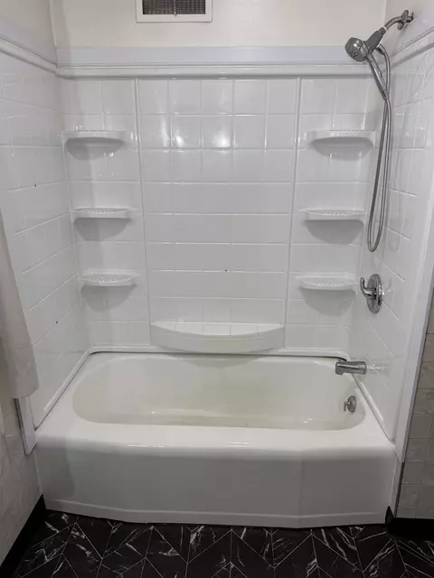 Bath - 408 N Maple Ave, Forreston, IL 61030 photo 2 of 2