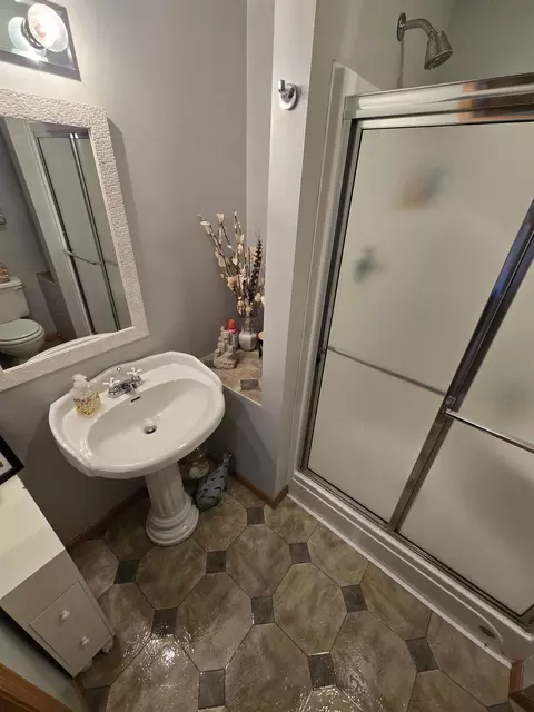 Bath - 8 A137 Revere Ct, Apple River, IL 61001 photo 3 of 3