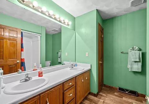 Bath - 3910 Mockingbird Ln, Byron, IL 61010 photo 2 of 3