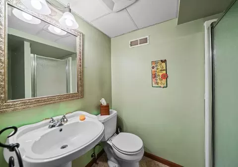 Bath - 3910 Mockingbird Ln, Byron, IL 61010 photo 3 of 3
