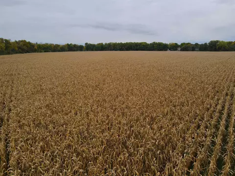 000 Rivers Bend Rd, Roscoe, IL 61073 photo 24