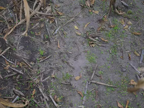 000 Rivers Bend Rd, Roscoe, IL 61073 photo 31