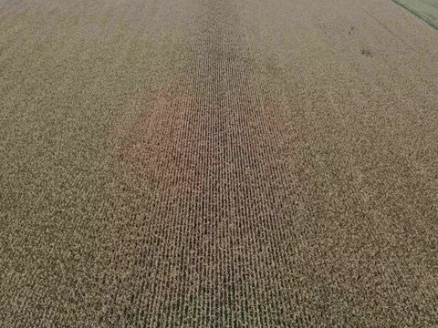 000 Rivers Bend Rd, Roscoe, IL 61073 photo 23