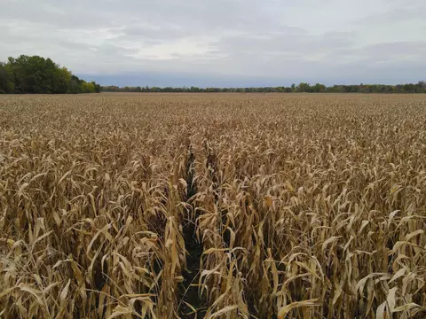 000 Rivers Bend Rd, Roscoe, IL 61073 photo 19