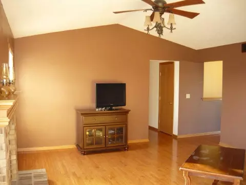 608 Willow Bend Dr, Davis Junction, IL 61020 photo 7