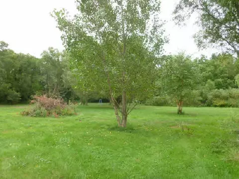 10506 Ray Dr, Roscoe, IL 61073 photo 3