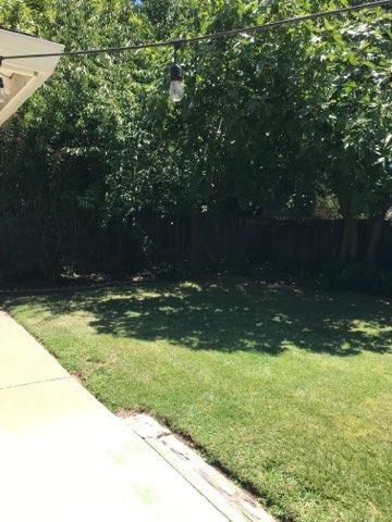863 Linden Ln, Davis, CA 95616 photo 5