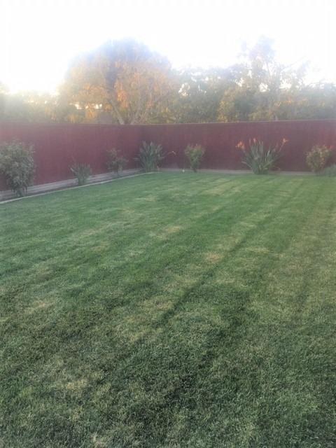 12149 Sycamore Ave, Patterson, CA 95363 photo 7