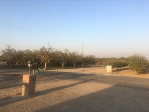 12149 Sycamore Ave, Patterson, CA 95363 photo 9