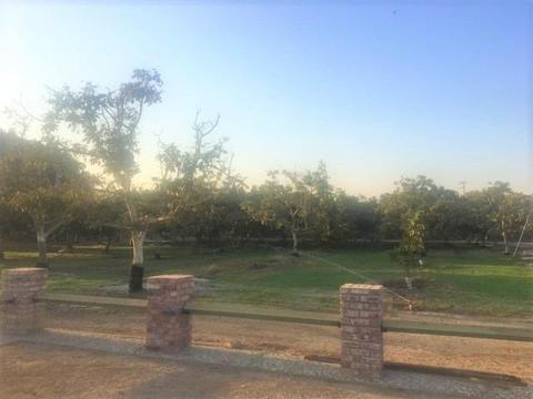 12149 Sycamore Ave, Patterson, CA 95363 photo 8