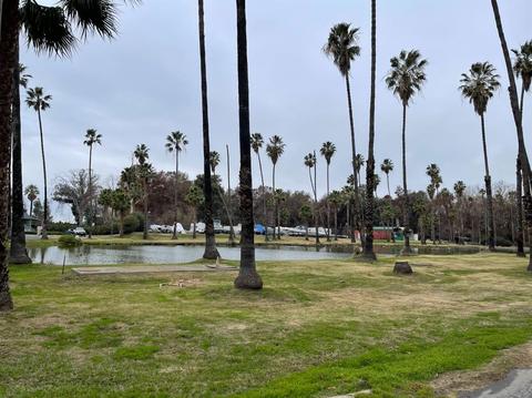 169 W Brannan Island Rd #36, Isleton, CA 95641 photo 28