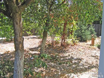 Undisclosed, Sonoma, CA 95476 photo 11