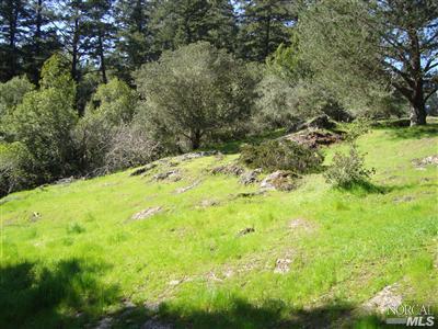 Undisclosed, Lagunitas, CA 94938 photo 4
