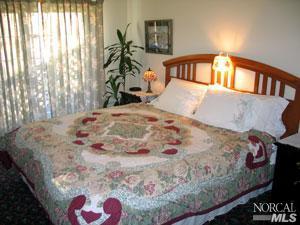 20280 River Blvd, Monte Rio, CA 95462 photo 6