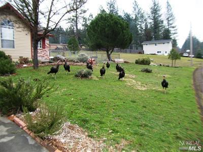 1700 Daphne Dr, Willits, CA 95490 photo 2