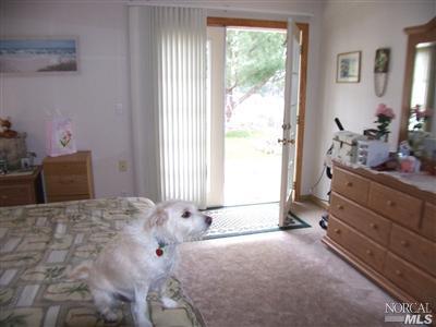 1700 Daphne Dr, Willits, CA 95490 photo 15