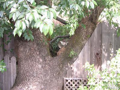 Undisclosed, Cloverdale, CA 95425 photo 6