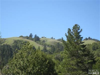 5 Barranca Rd, Lagunitas, CA 94938 photo 3