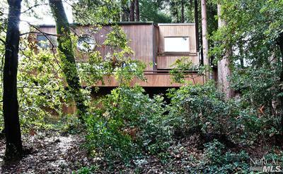 359 Marion Ave, Mill Valley, CA 94941 photo 2