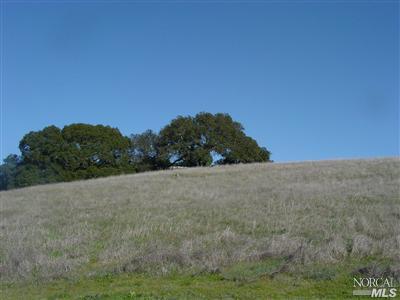 Undisclosed, Sonoma, CA 95476 photo 5