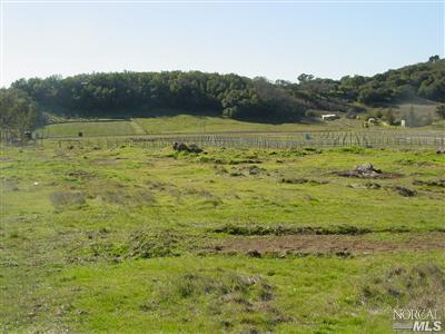 Undisclosed, Sonoma, CA 95476 photo 11