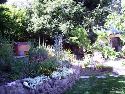 207 Gibson Ave, Mill Valley, CA 94941 photo 11