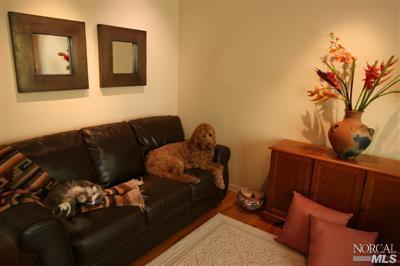 Undisclosed, Greenbrae, CA 94904 photo 20