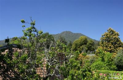 133 Locust Ave, Mill Valley, CA 94941 photo 12