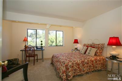 187 Elm Ave, Mill Valley, CA 94941 photo 7