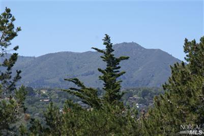 67 S Knoll Rd, Mill Valley, CA 94941 photo 4