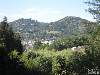 9 Wolfe Ave, San Rafael, CA 94901 photo 2