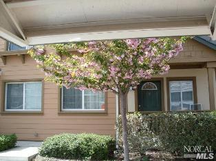 727 Daniels Ave, Vallejo, CA 94590 photo 1