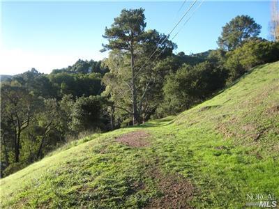 335 County View Dr, Mill Valley, CA 94941 photo 5